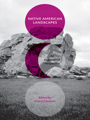 cover image of Native American Landscapes